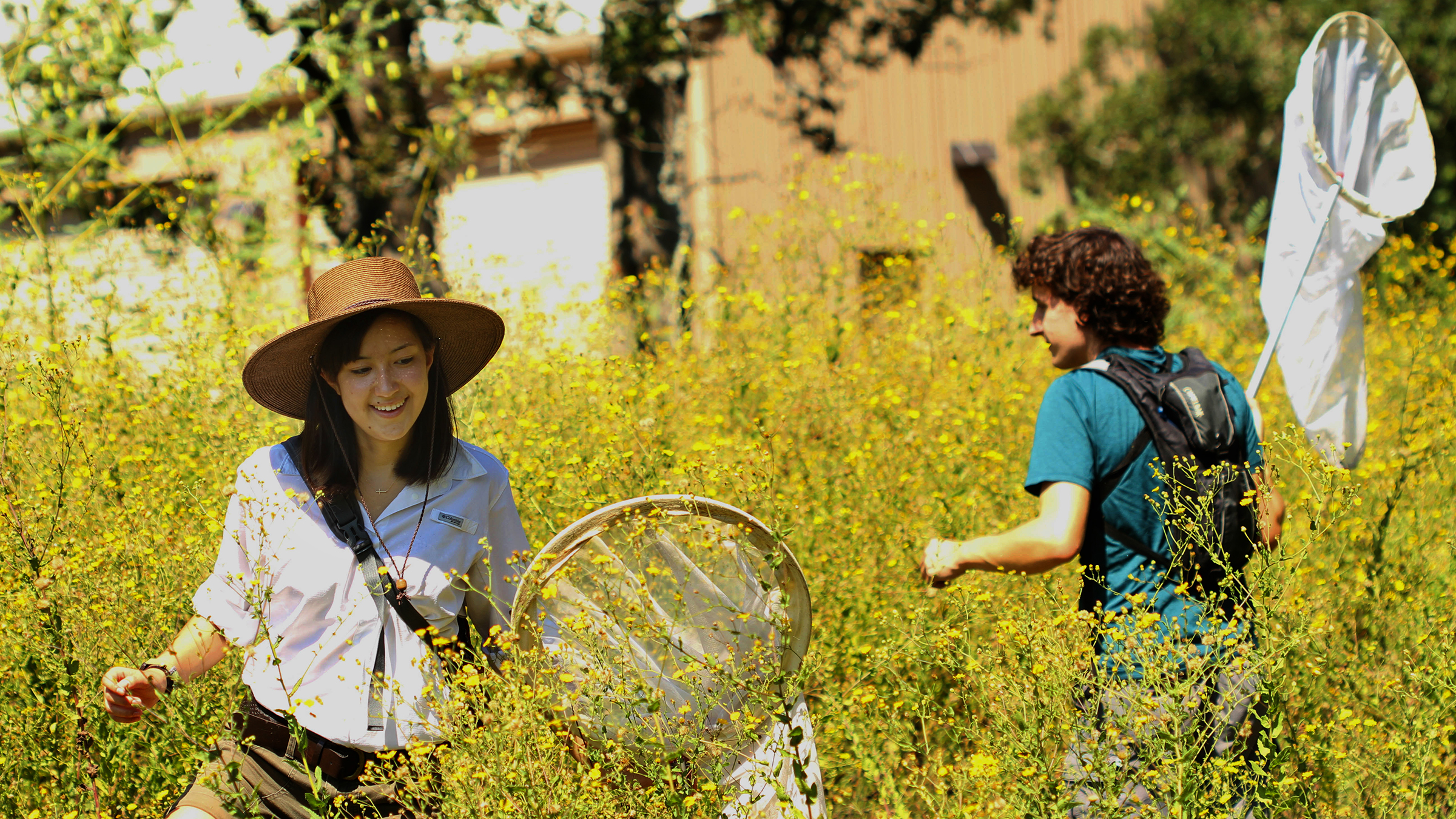 Students at Stengl amongst the wildflowers holding butterfly nets